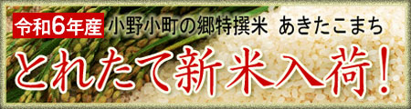 小野小町の郷特選米 あきたこまち 通信販売はこちらから!