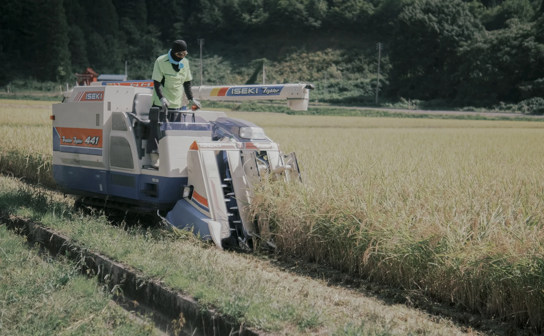 rice1hero19845